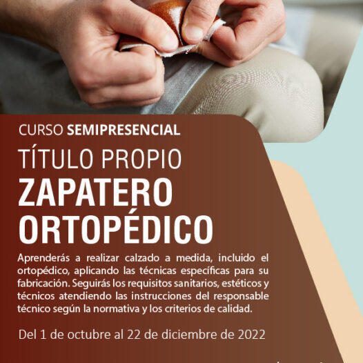 Título Propio de Zapatero Ortopédico